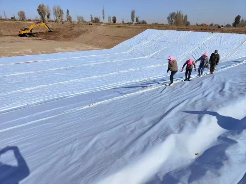 जाम्बिया में टेलिंग्स बांध परियोजना