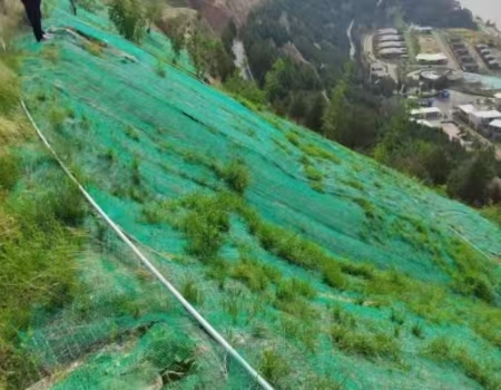 नदी तट के कटाव को रोकने और हरित पुनर्स्थापन के लिए त्रि-आयामी जियोमैट